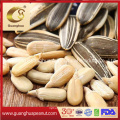 Roasted Sunflower Seed Hot Sale New Crop